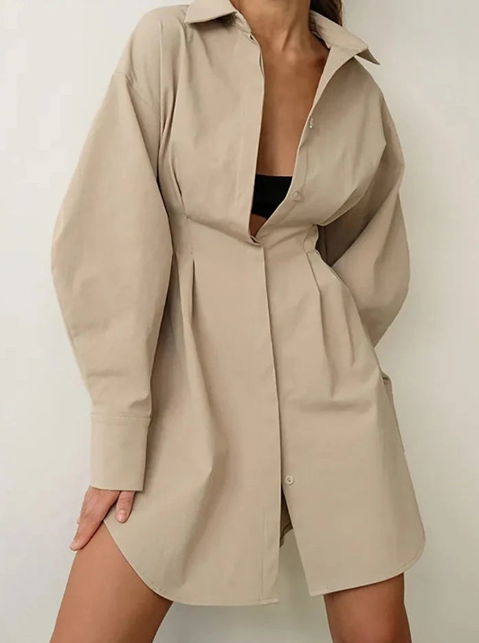 Pleated A-Line Shirt Dress