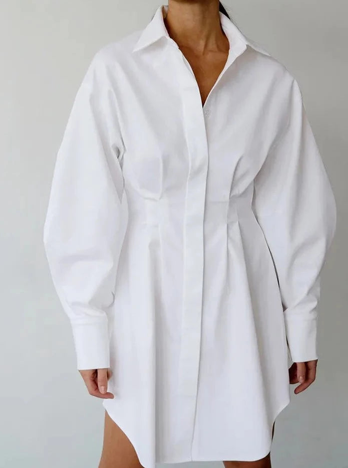 Pleated A-Line Shirt Dress