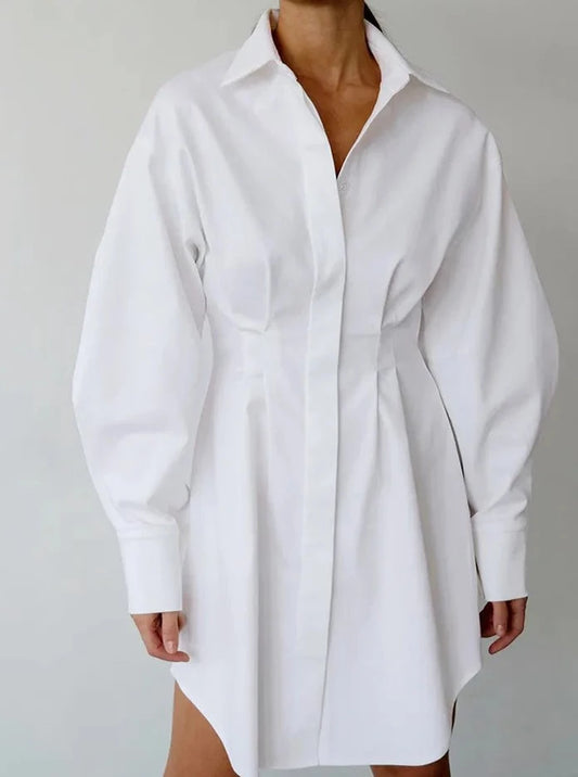 Pleated A-Line Shirt Dress